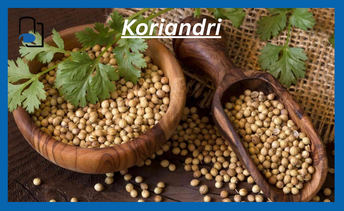 Koriandri