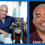 Cesar Millan Jail