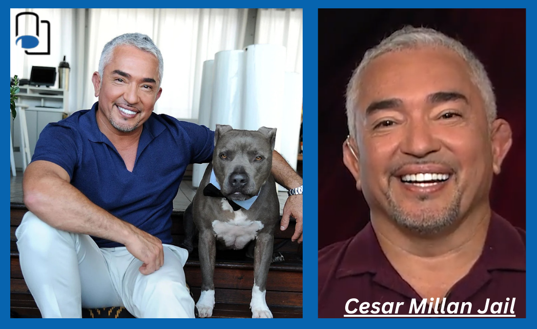 Cesar Millan Jail