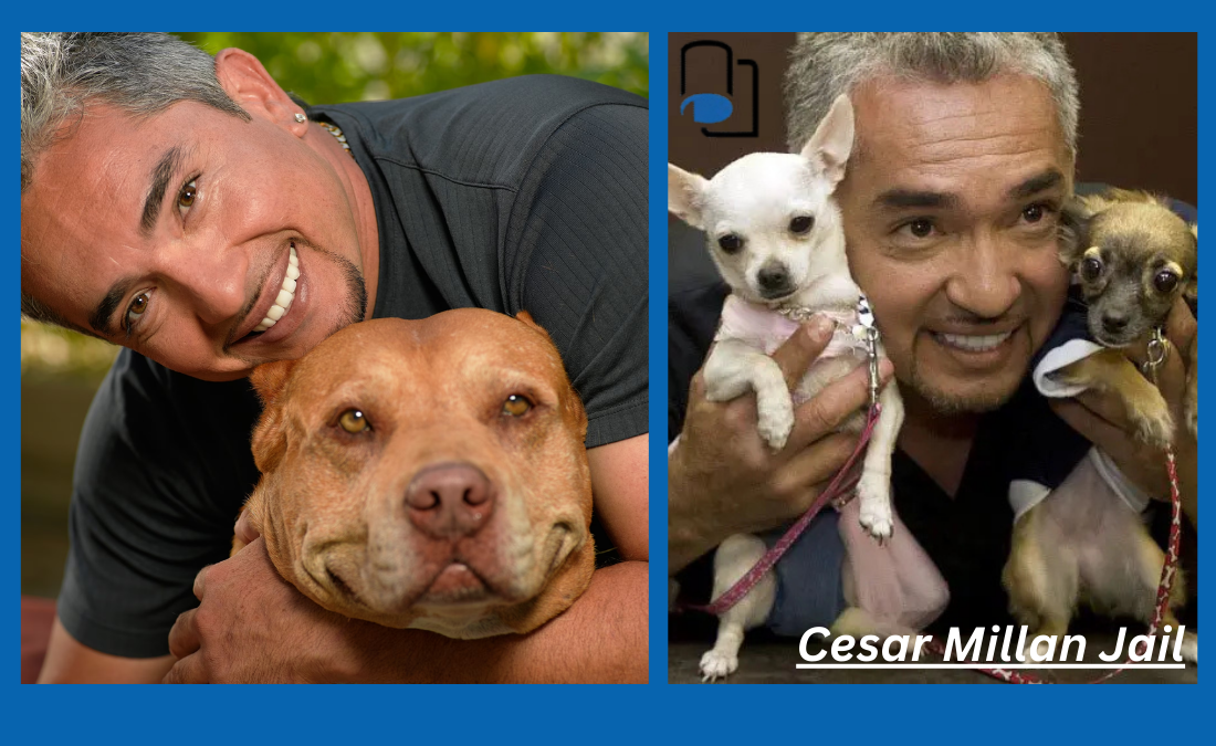 Cesar Millan Jail
